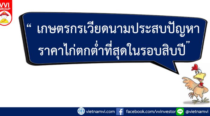 เกษตรกรเวียดนามประสบปัญหาราคาไก่ตกต่ำที่สุดในรอบสิบปี