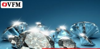 12 เรื่องน่ารู้ VN Diamond ETF