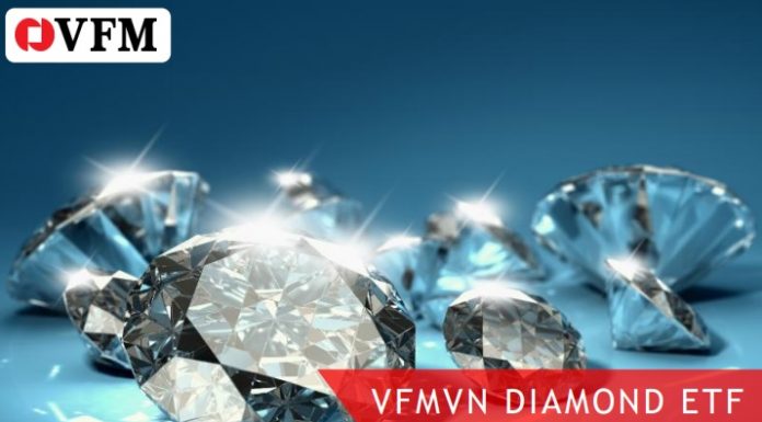 12 เรื่องน่ารู้ VN Diamond ETF