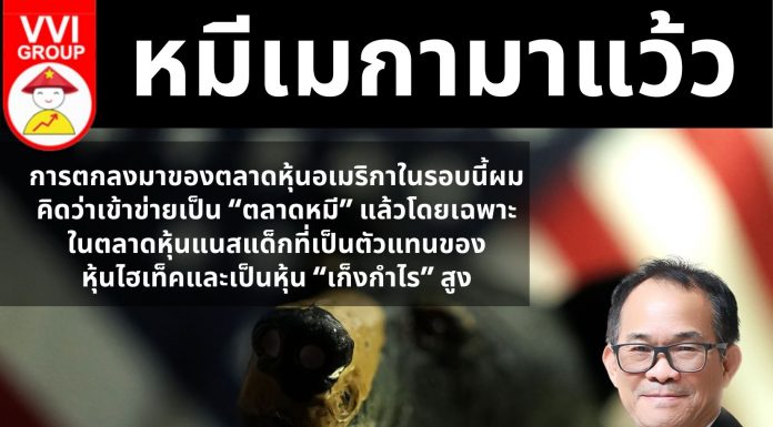 หมีเมกามาแว้ว