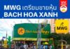 MWG เตรียมขายหุ้น Bach Hoa Xanh