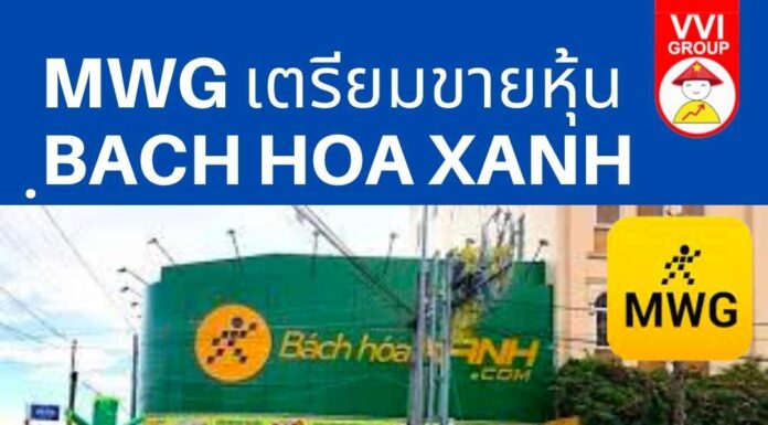 MWG เตรียมขายหุ้น Bach Hoa Xanh