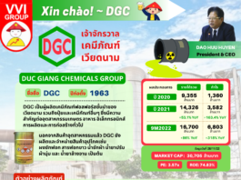 Duc Giang Chemicals