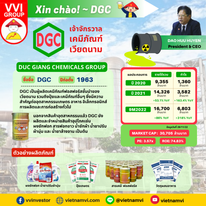 Duc Giang Chemicals