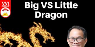 Big VS Little Dragon