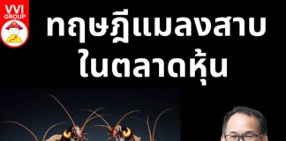 ทฤษฎีแมลงสาบในตลาดหุ้น