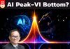 AI Peak-VI Bottom?